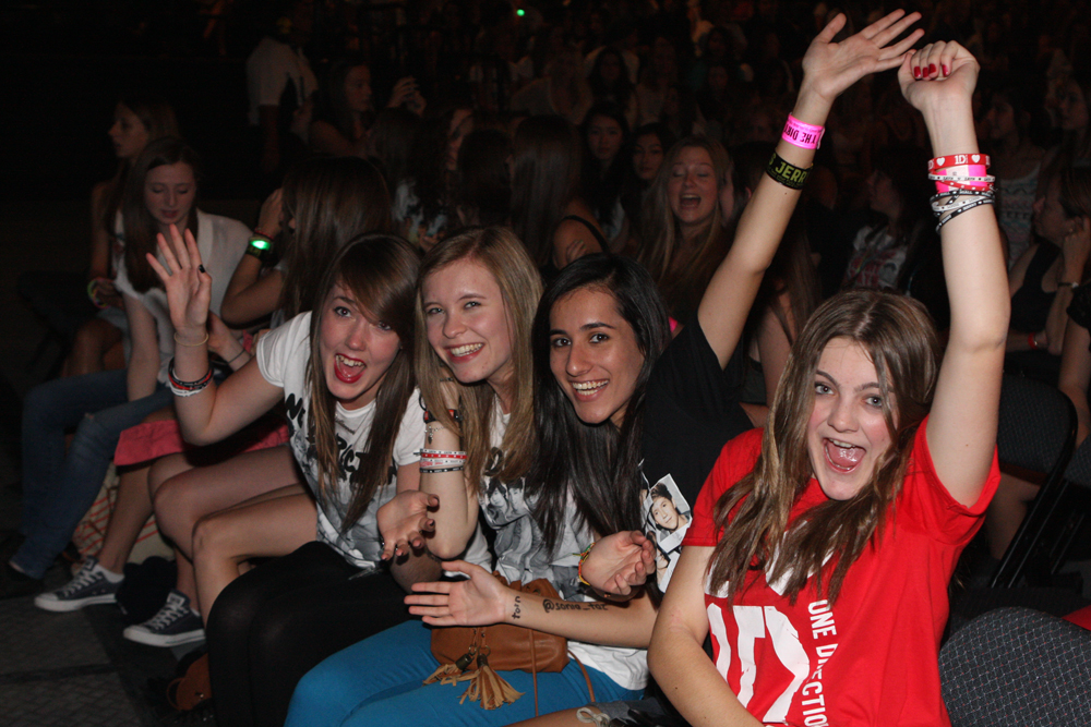 One Direction concert
